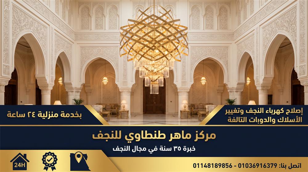 فني كهرباء نجف يستبدل الدوايات